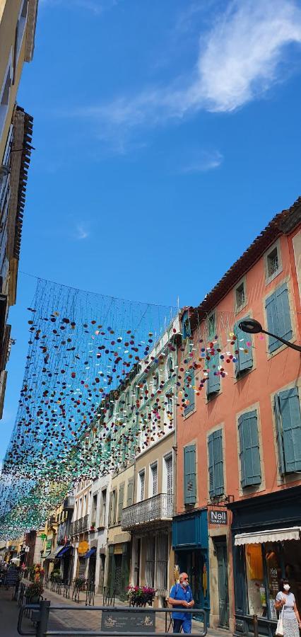 Apartamento Sur Les Paves Du Pont Vieux... Carcasona